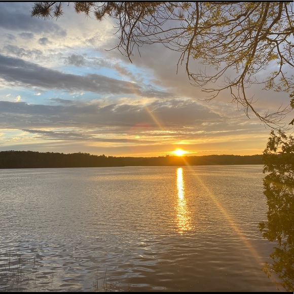 Meet your Posher, Elizabeth - Picture 2 of 2